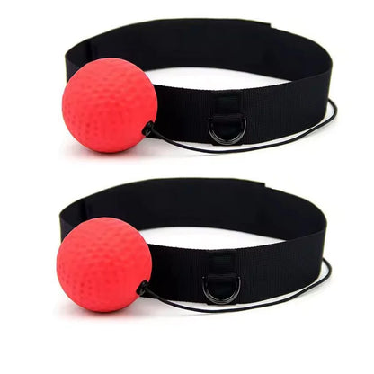 Boxing Training Ball